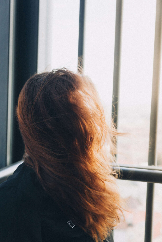 Descripción de la imagen